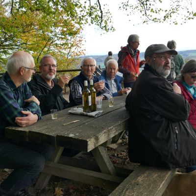 P016 Rast auf 595 mM